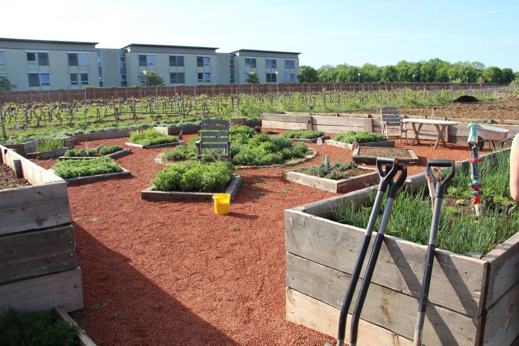 Garten der Begegnung - Beete