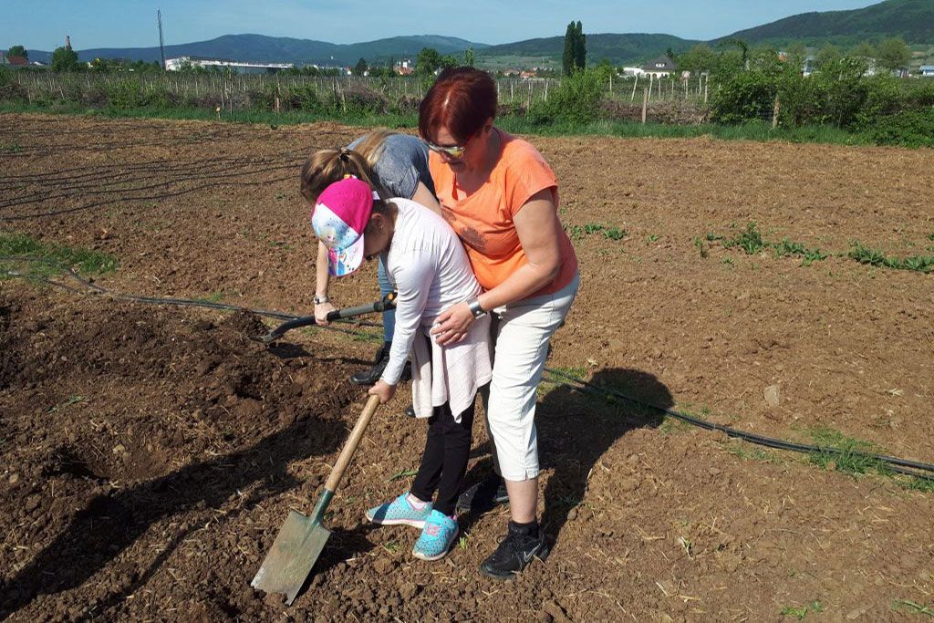 Garten der Begegnung - mitmachen bei der Gartenarbeit